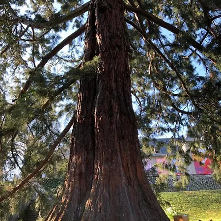 Σπίτι διακοπών La Datcha Du Parc Husseren-Wesserling